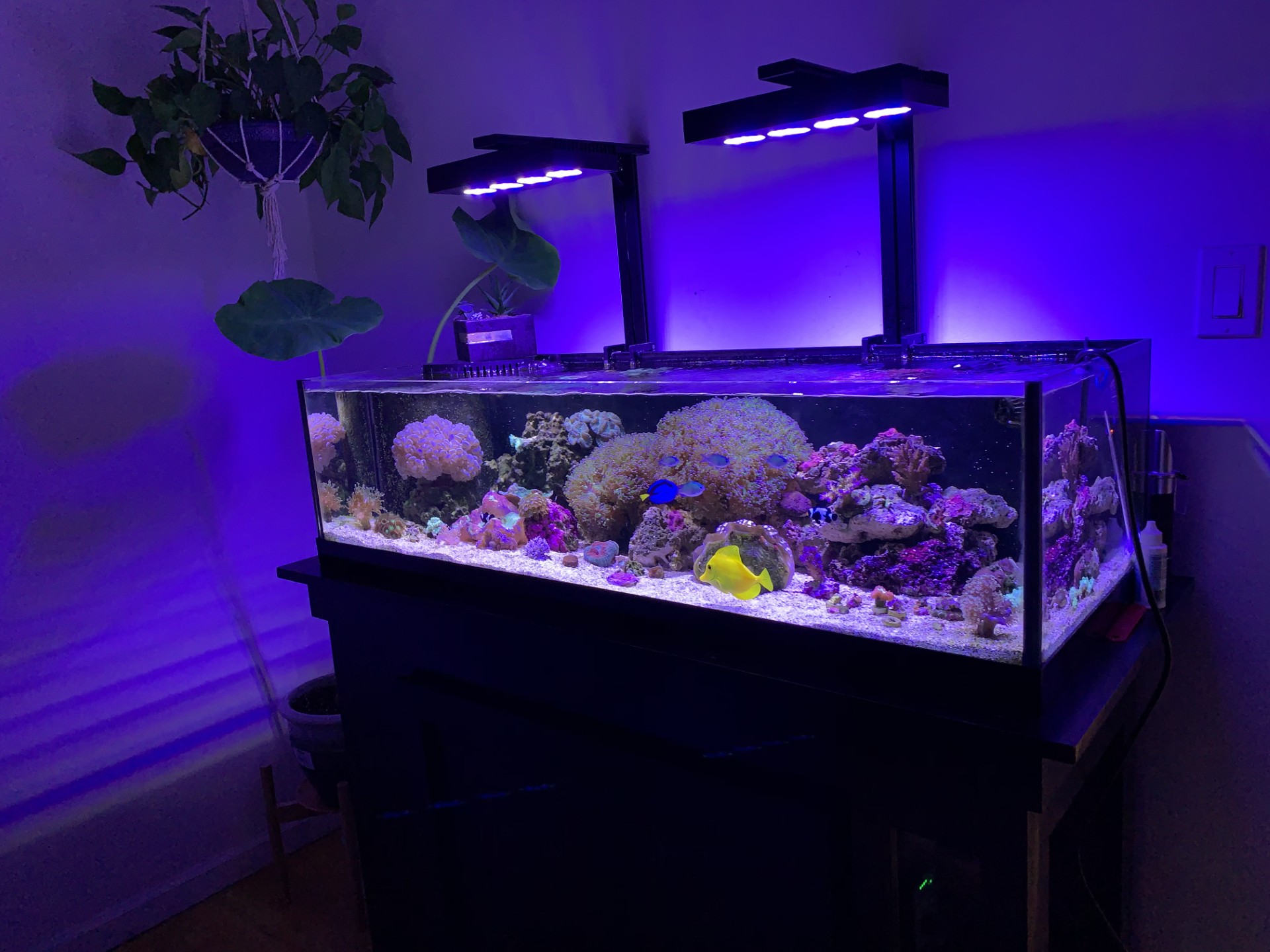 Tank maintenance services